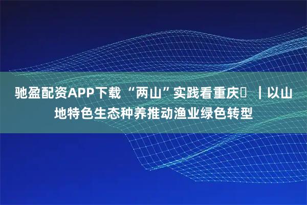 驰盈配资APP下载 “两山”实践看重庆⑭｜以山地特色生态种养推动渔业绿色转型